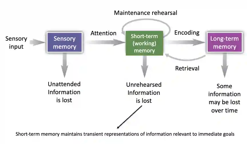Memory in Human Brain | Xuanqiang Angelo Huang's Blog