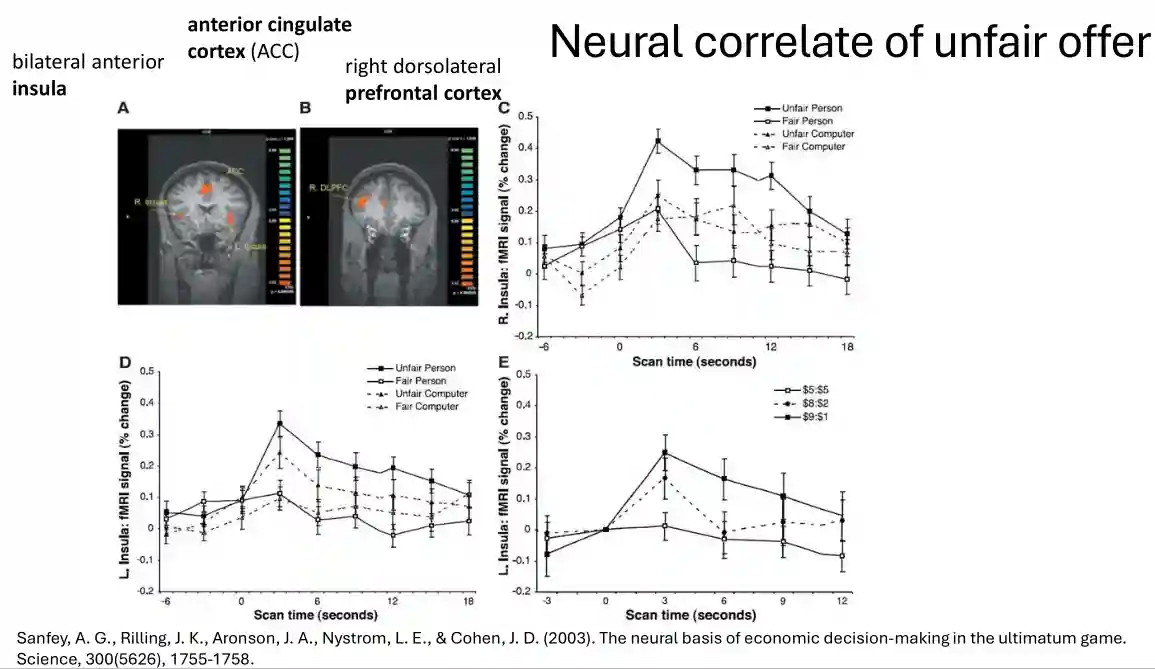 Neuroeconomics-20250428102426218